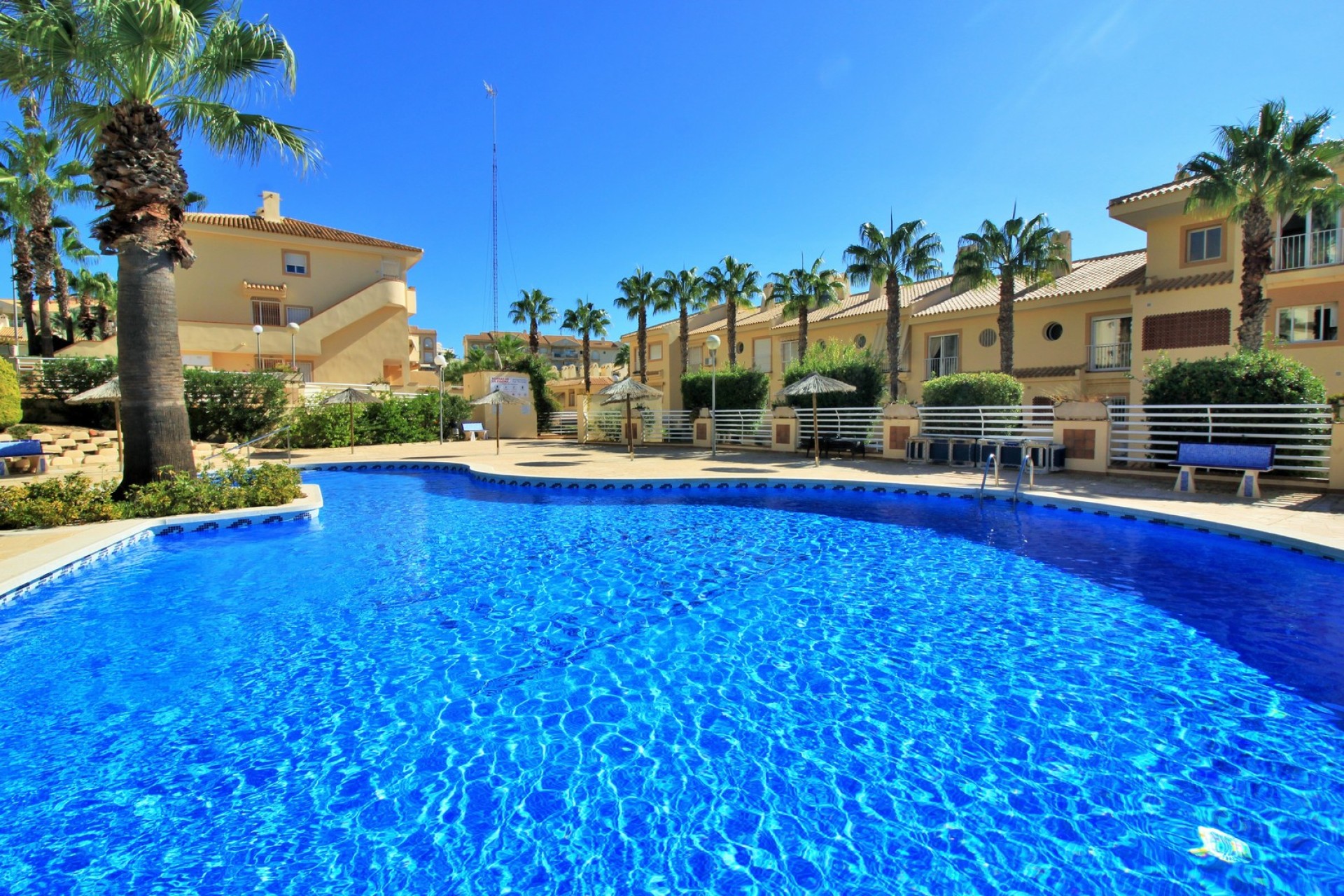Revente - Apartment - Cabo Roig