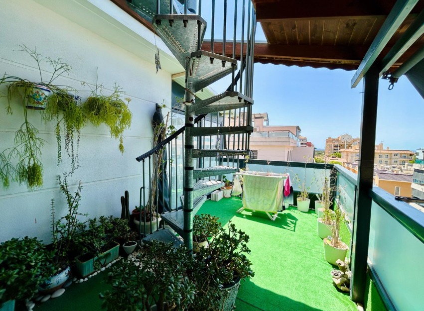 Revente - Apartment - Elche - Campo de Fútbol
