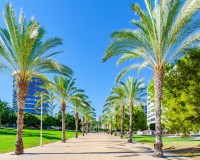 Revente - Apartment - Finestrat - Cala de Finestrat