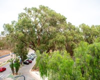 Revente - Apartment - Guardamar del Segura - Center