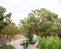 Revente - Apartment - Guardamar del Segura - Center