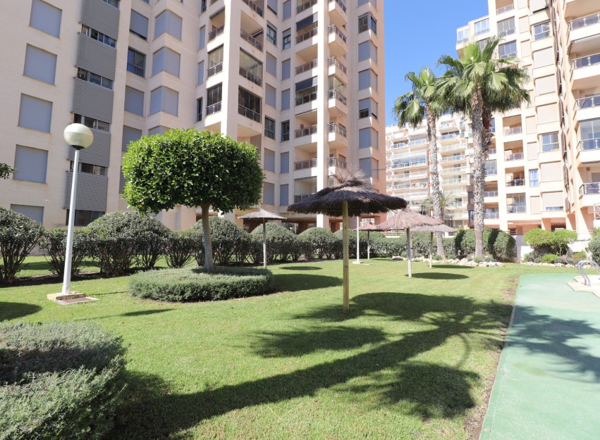 Revente - Apartment - Guardamar del Segura - Guardamar del Segura - Town