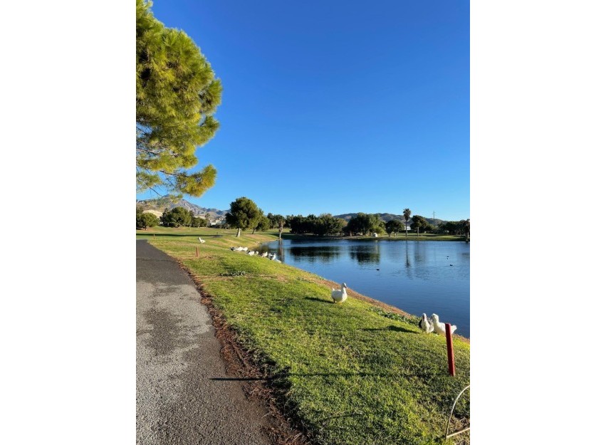 Revente - Apartment - Muchamiel - Club De Golf Bonalba