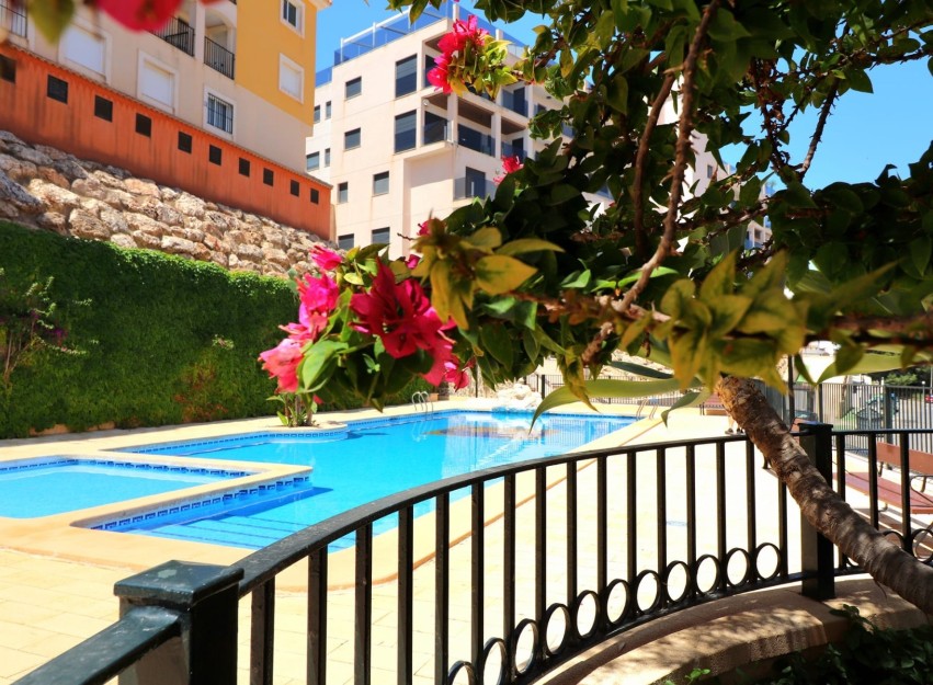 Revente - Apartment - Orihuela Costa - Campoamor