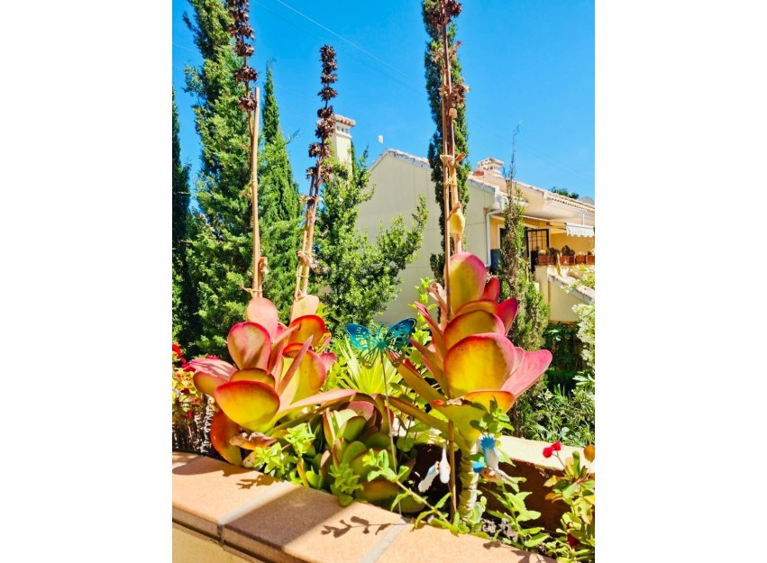 Revente - Apartment - Orihuela Costa - Lomas de Campoamor