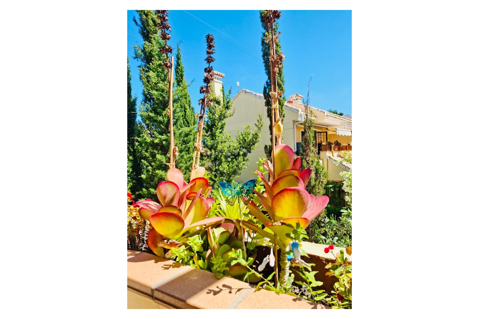 Revente - Apartment - Orihuela Costa - Lomas de Campoamor