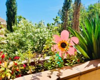 Revente - Apartment - Orihuela Costa - Lomas de Campoamor