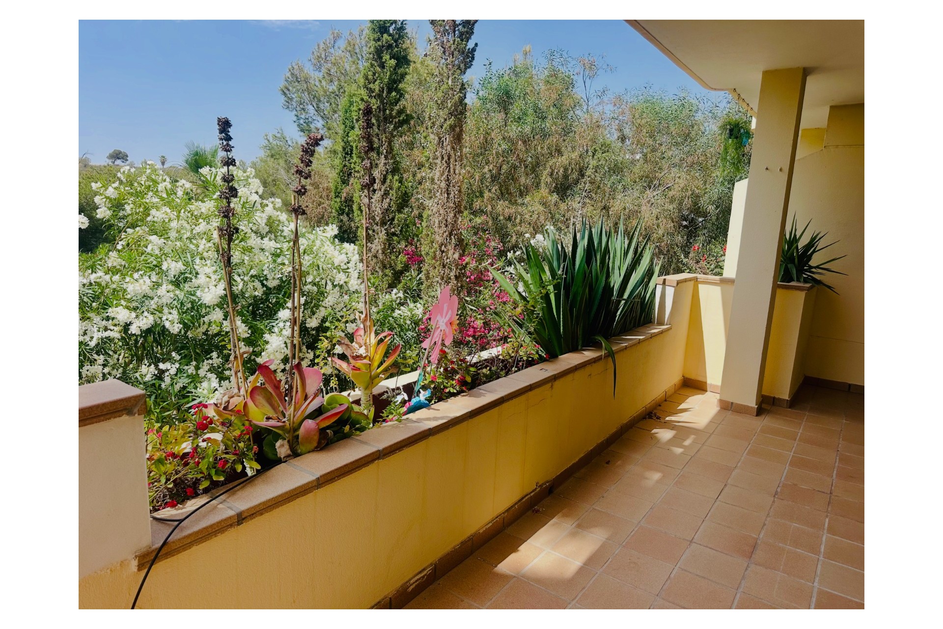 Revente - Apartment - Orihuela Costa - Lomas de Campoamor