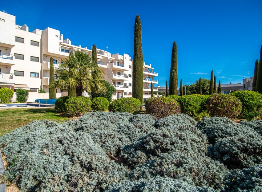 Revente - Apartment - Orihuela Costa