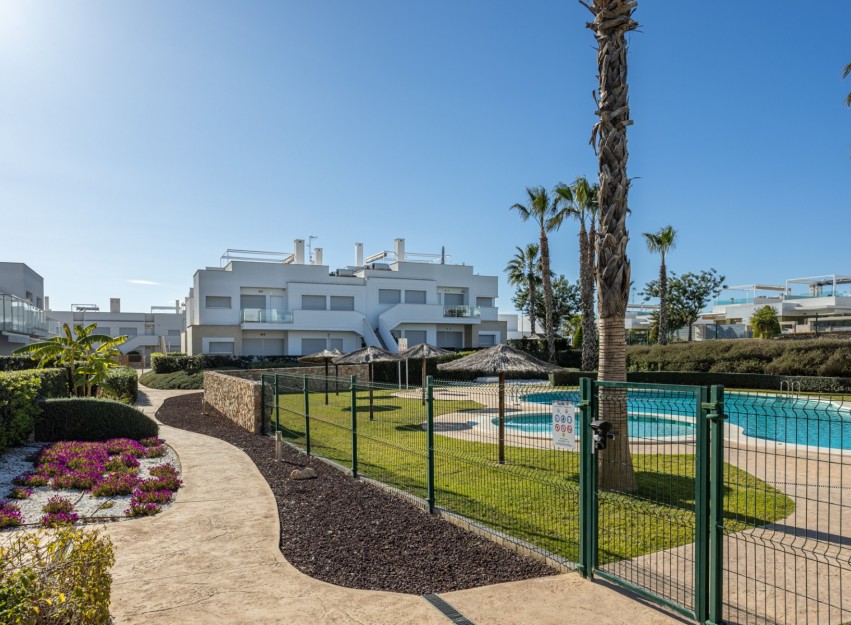 Revente - Apartment - Orihuela - Vistabella