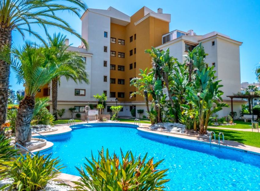 Revente - Apartment - Punta Prima