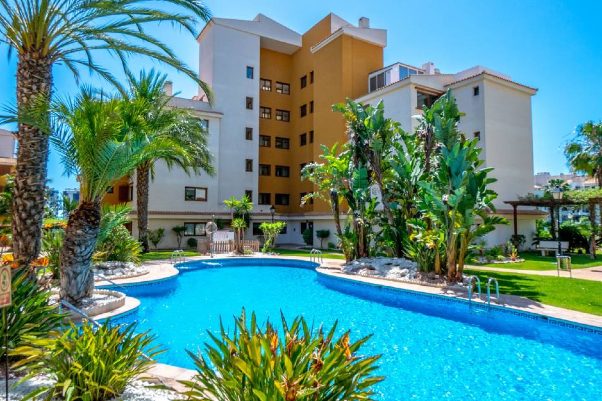 Revente - Apartment - Punta Prima