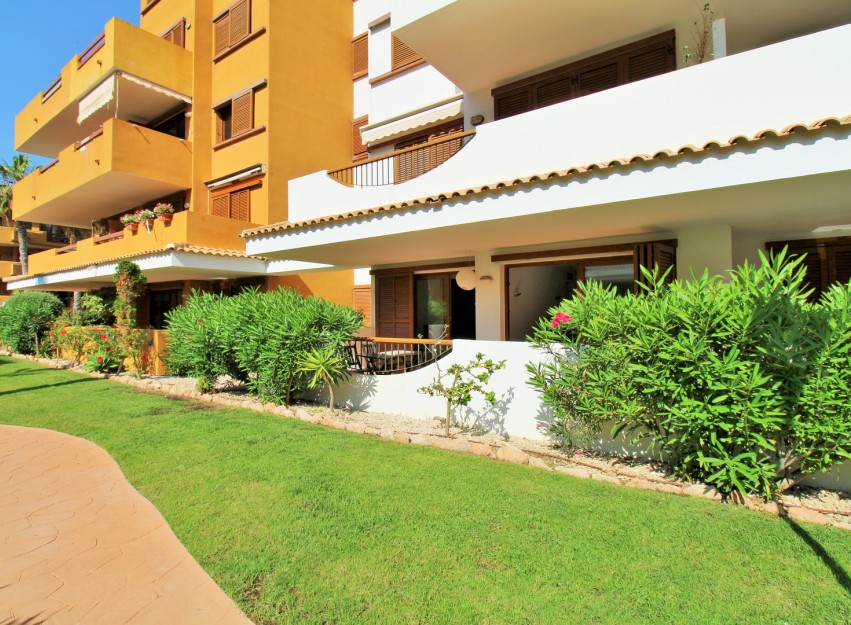 Revente - Apartment - Punta Prima