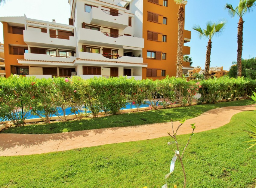 Revente - Apartment - Punta Prima