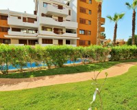Revente - Apartment - Punta Prima