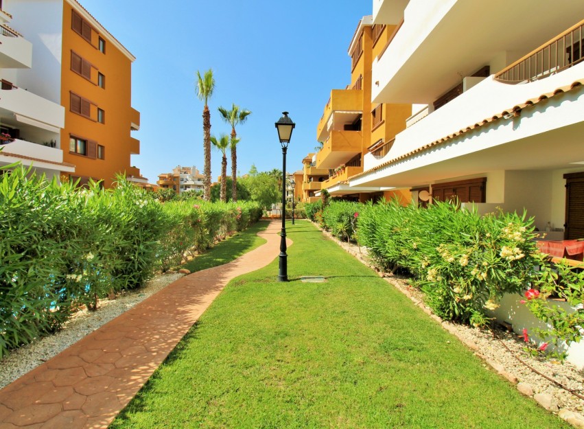 Revente - Apartment - Punta Prima