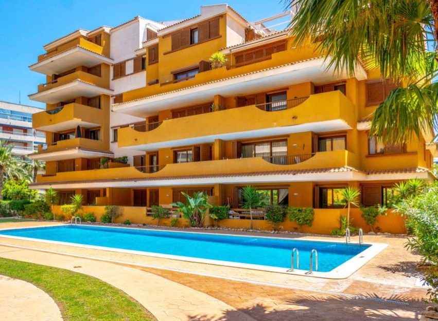 Revente - Apartment - Punta Prima