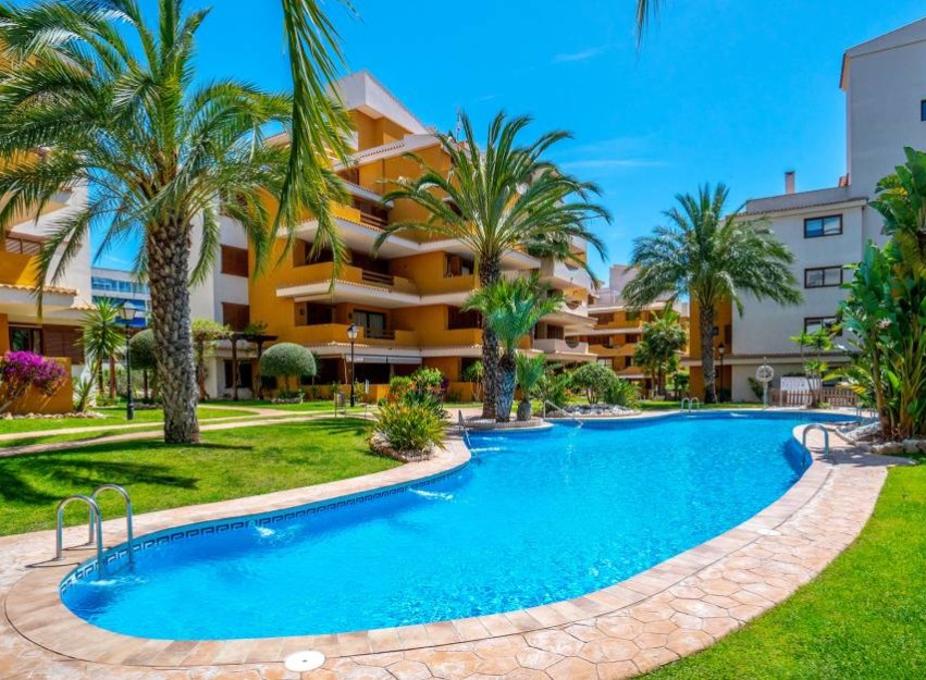 Revente - Apartment - Punta Prima