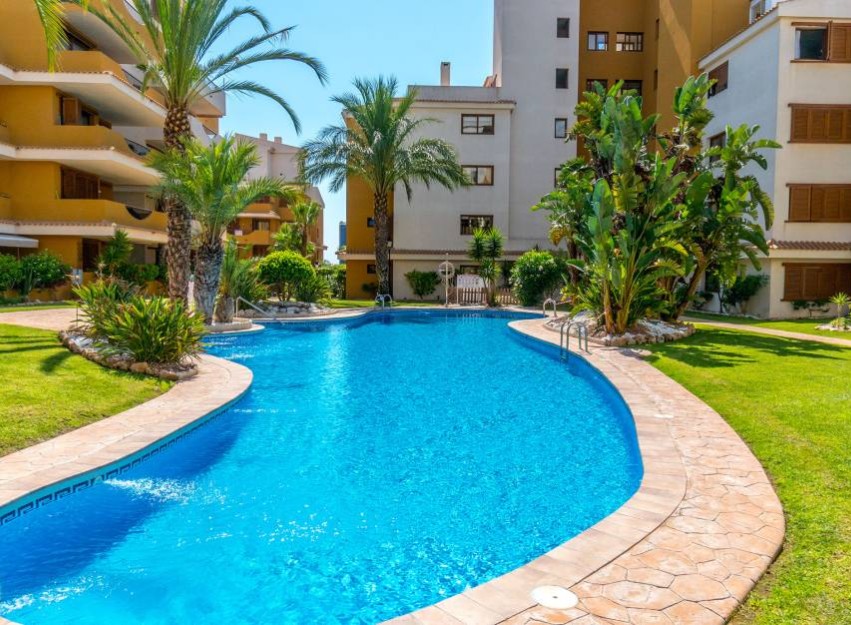 Revente - Apartment - Punta Prima