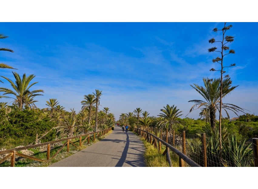 Revente - Commercial - Guardamar del Segura - Center