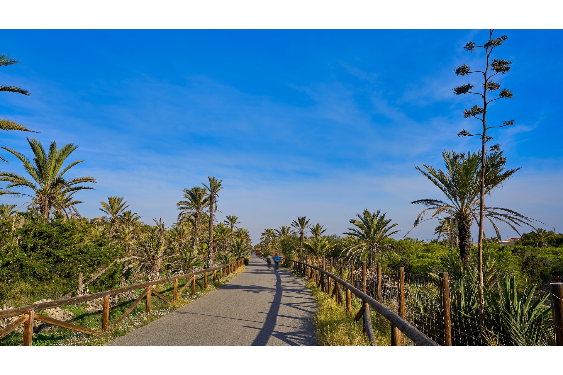 Revente - Commercial - Guardamar del Segura - Center