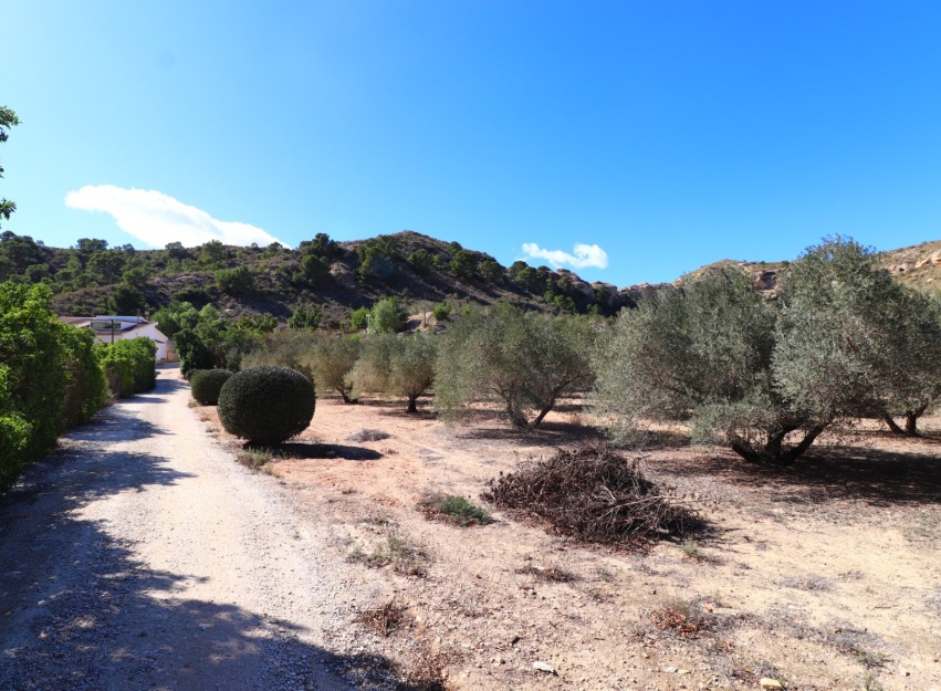 Revente - Country House - Aspe - Aspe - Country