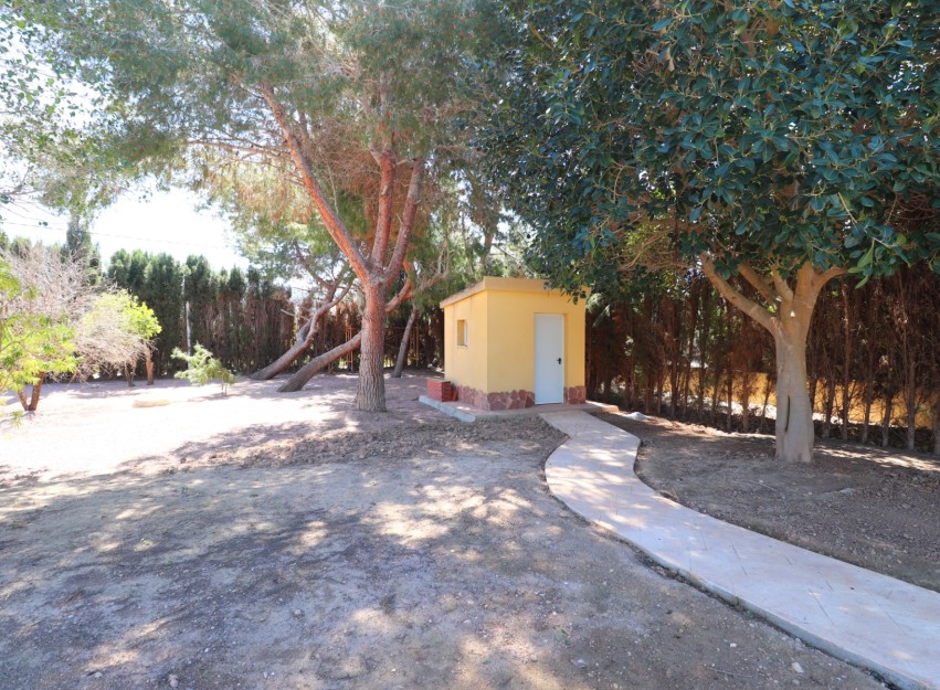 Revente - Country House - Callosa de Segura - Callosa de Segura - Country