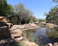 Revente - Country House - Catral