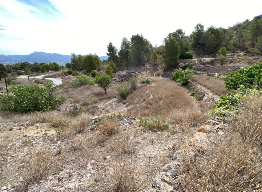 Revente - Country House - Elda