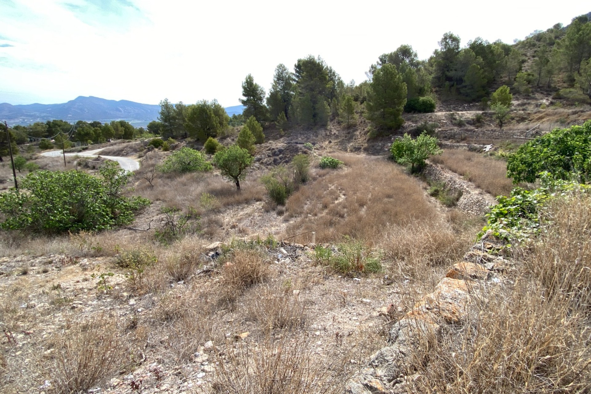 Revente - Country House - Elda