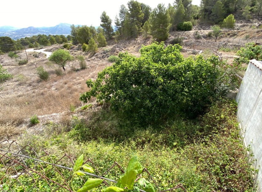 Revente - Country House - Elda