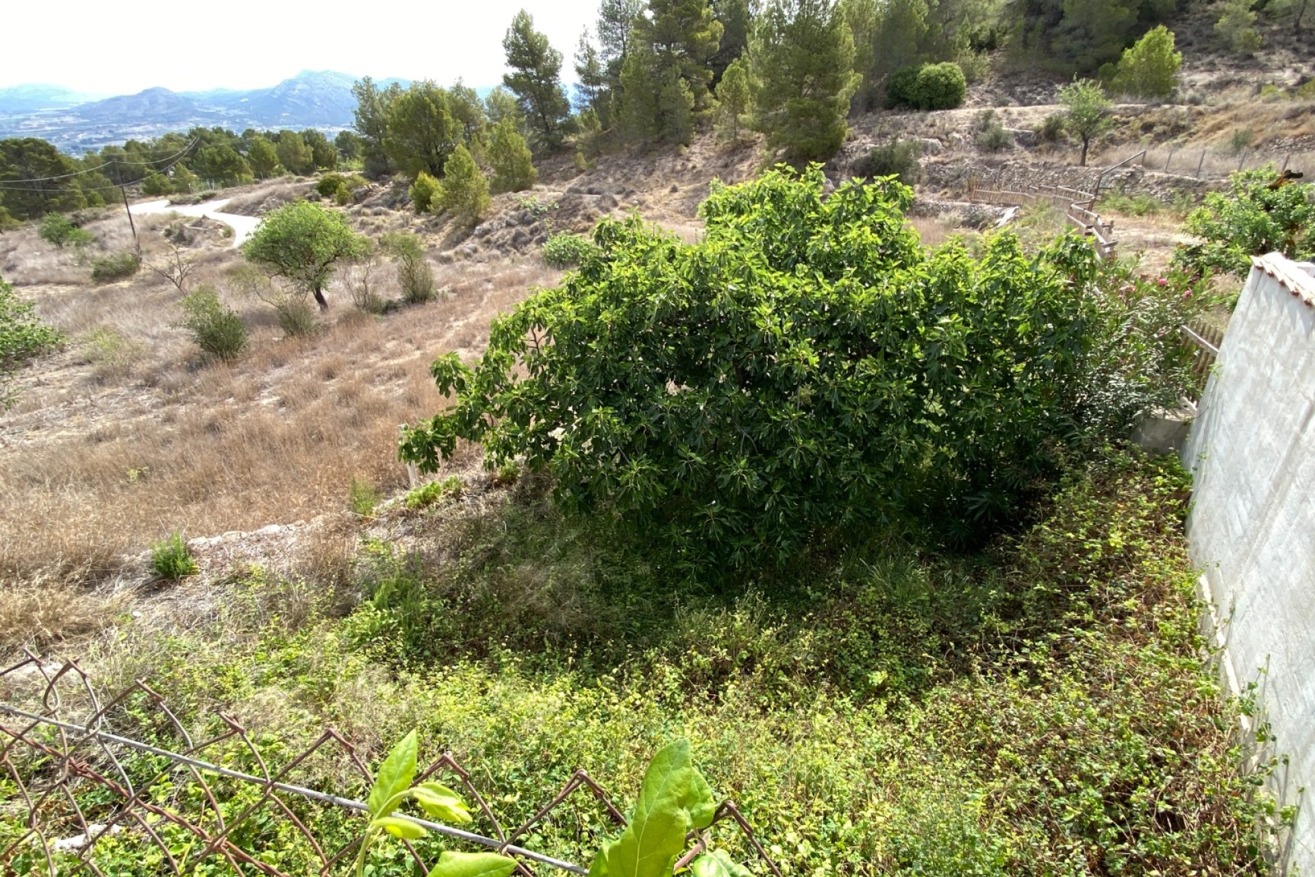 Revente - Country House - Elda