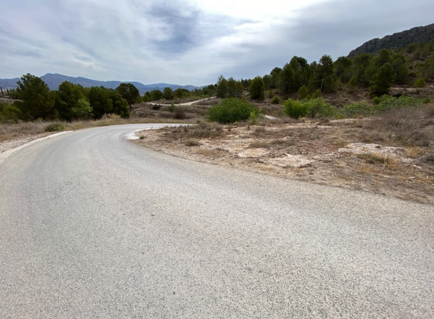 Revente - Country House - Elda