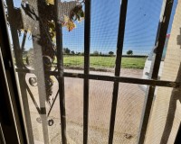 Revente - Country House - Guardamar del Segura