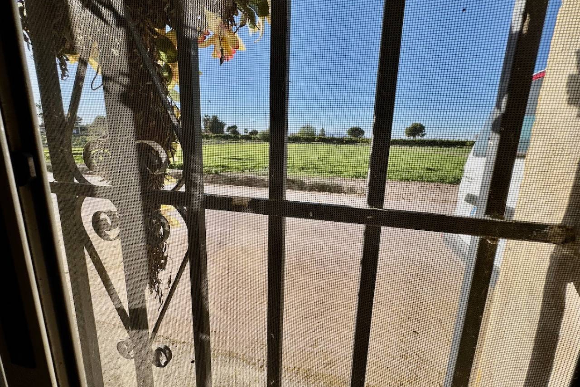 Revente - Country House - Guardamar del Segura