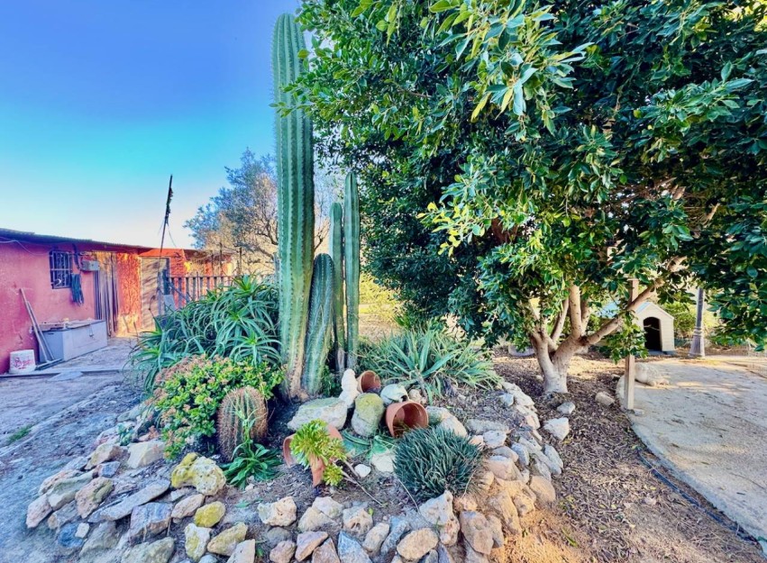 Revente - Country House - Guardamar del Segura