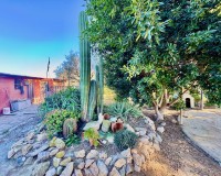 Revente - Country House - Guardamar del Segura