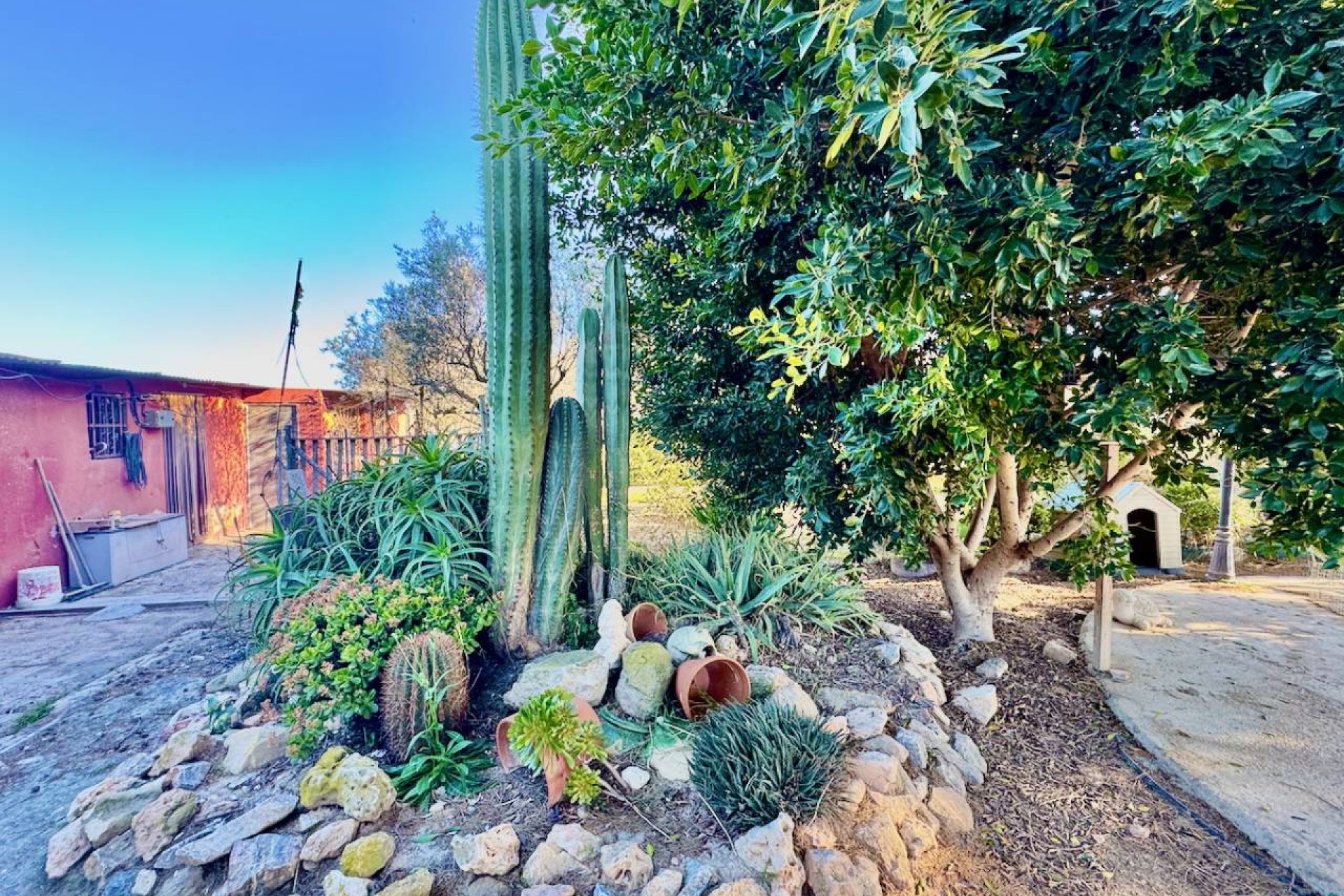 Revente - Country House - Guardamar del Segura