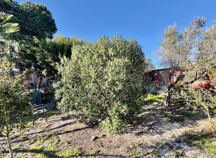 Revente - Country House - Guardamar del Segura