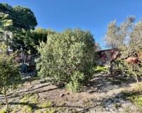 Revente - Country House - Guardamar del Segura