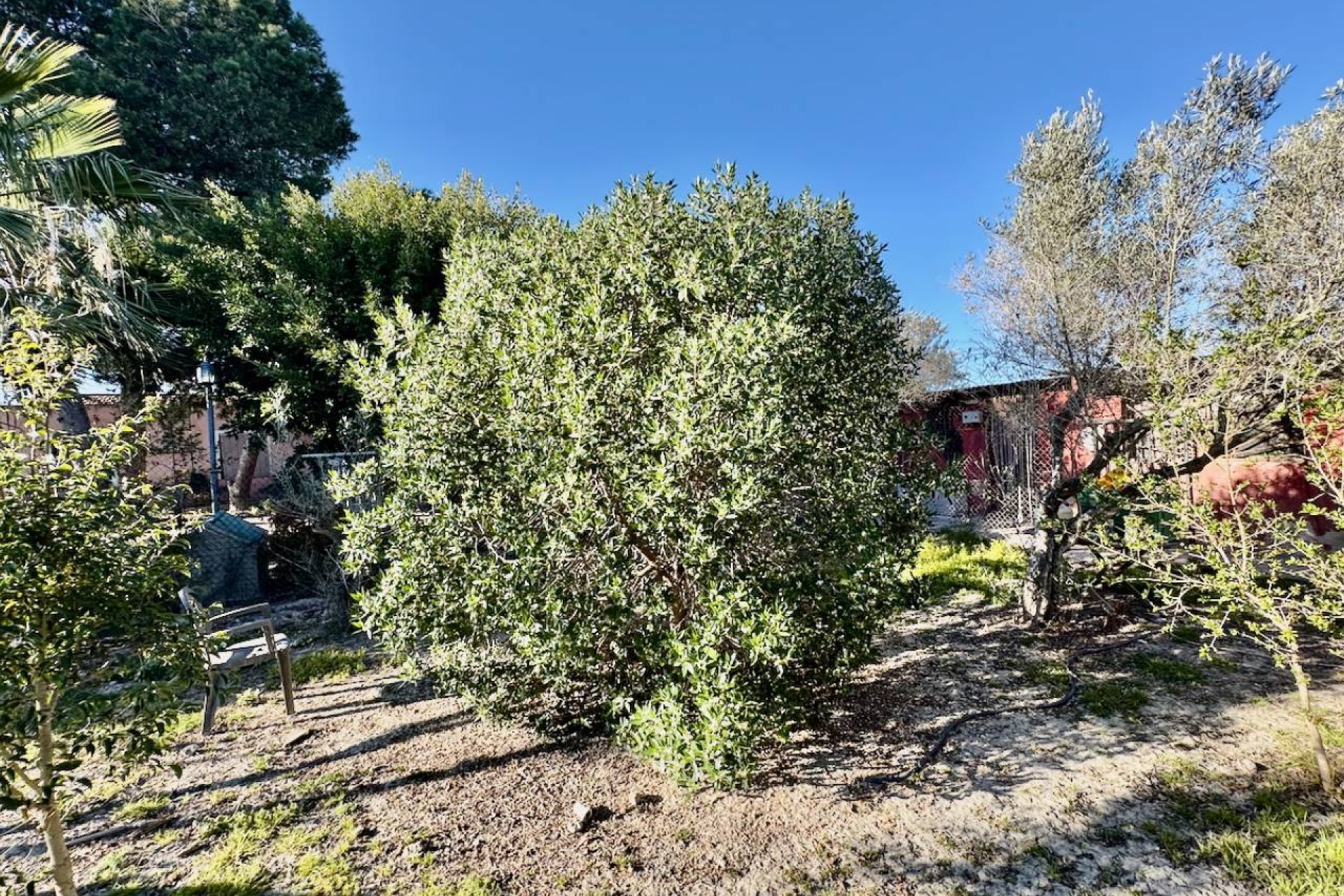 Revente - Country House - Guardamar del Segura