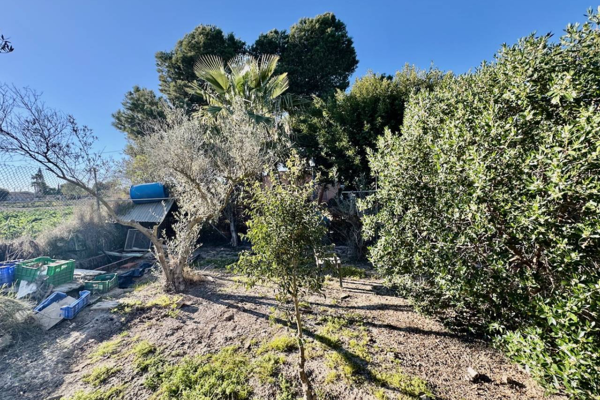 Revente - Country House - Guardamar del Segura