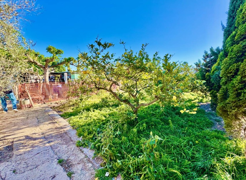 Revente - Country House - Guardamar del Segura