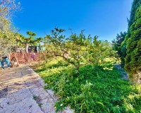 Revente - Country House - Guardamar del Segura