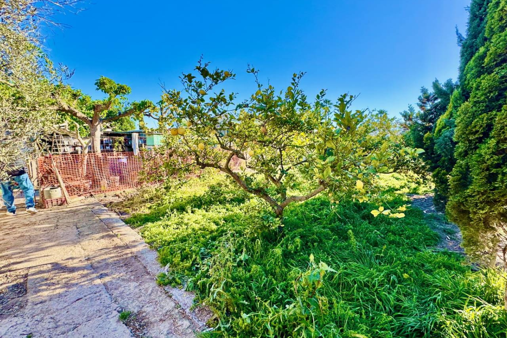 Revente - Country House - Guardamar del Segura