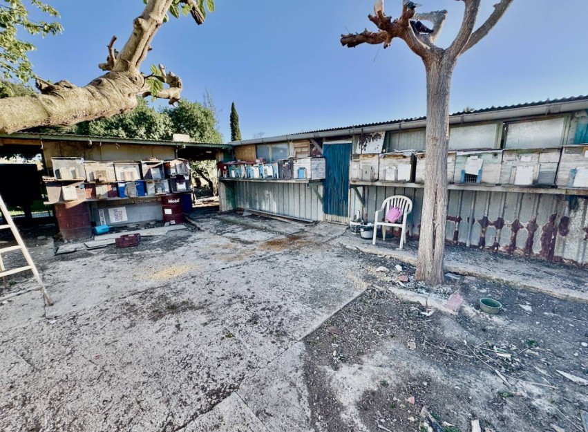 Revente - Country House - Guardamar del Segura