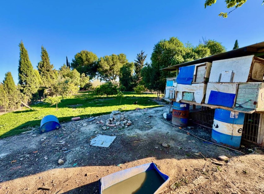 Revente - Country House - Guardamar del Segura