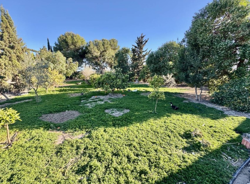 Revente - Country House - Guardamar del Segura