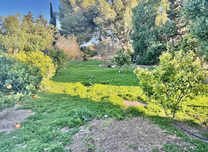 Revente - Country House - Guardamar del Segura