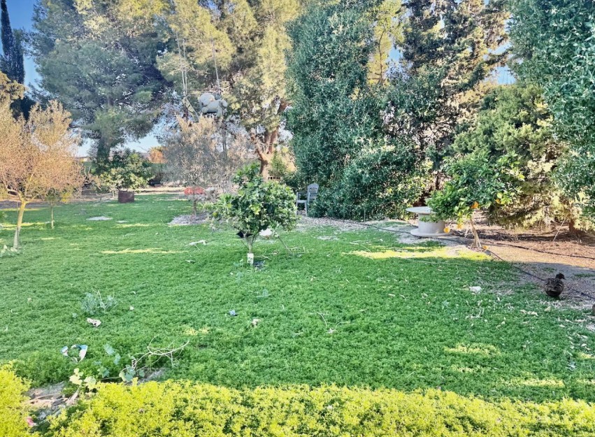 Revente - Country House - Guardamar del Segura